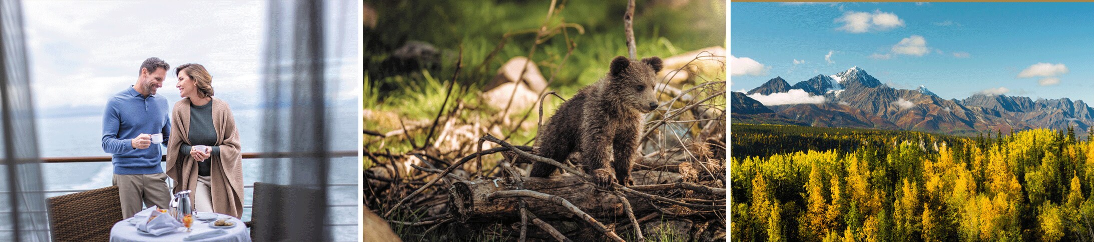 Highlights of Alaska travel featuring bears, luxury cruise moments, and nature excursions