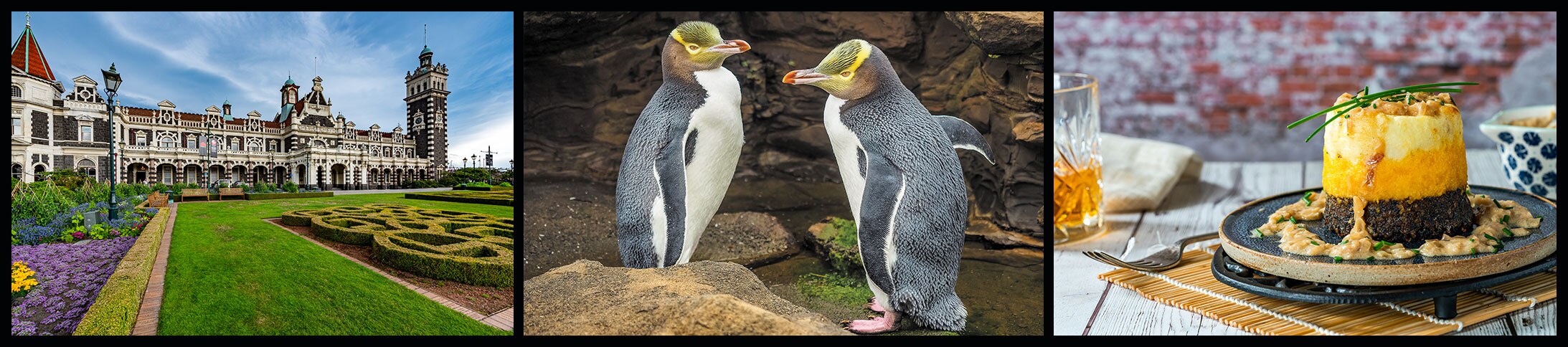 Regent Recommends: Dunedin Shore Excursions 