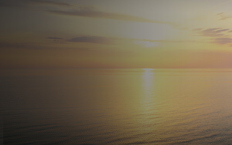 Air Concierge Program