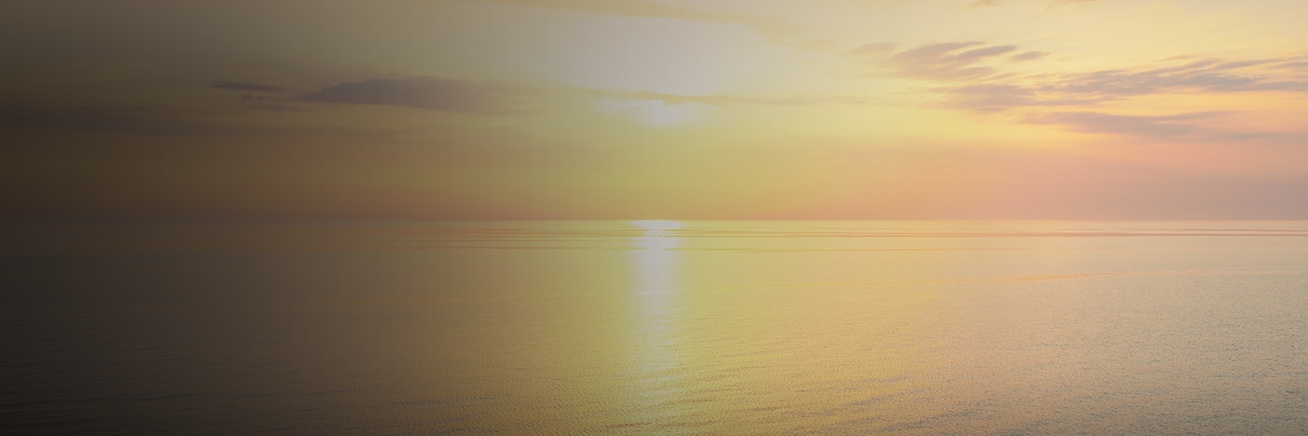 Air Concierge Program