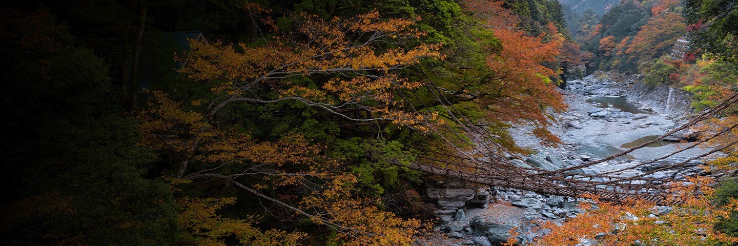 Iya Valley, Japan