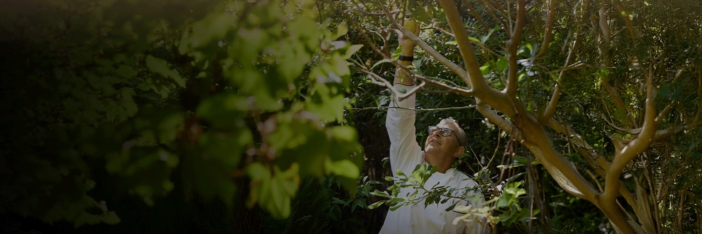 Epicurean Spotlight Voyages: Find Your Flavor