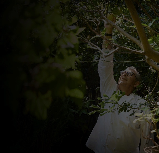 Epicurean Spotlight Voyages: Find Your Flavor