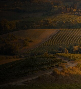 Epicurean Spotlight on Wine aboard Seven Seas Mariner®