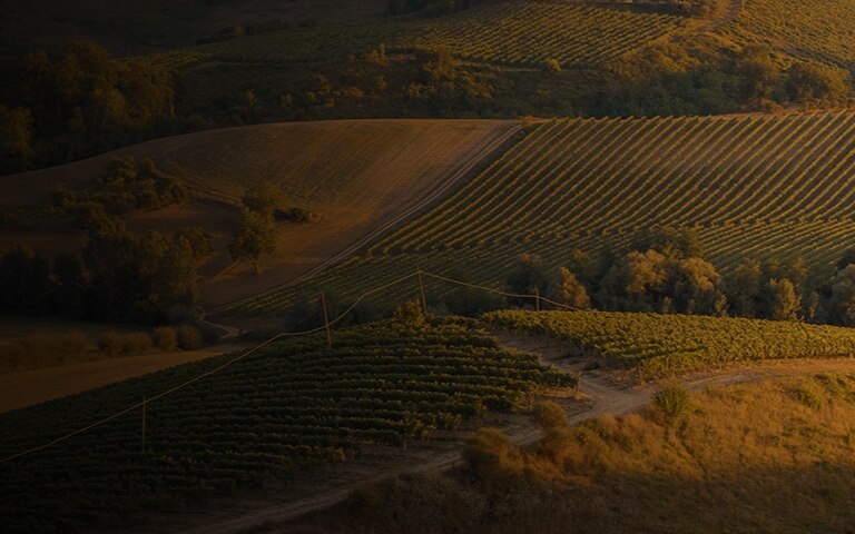 Epicurean Spotlight on Wine aboard Seven Seas Mariner®