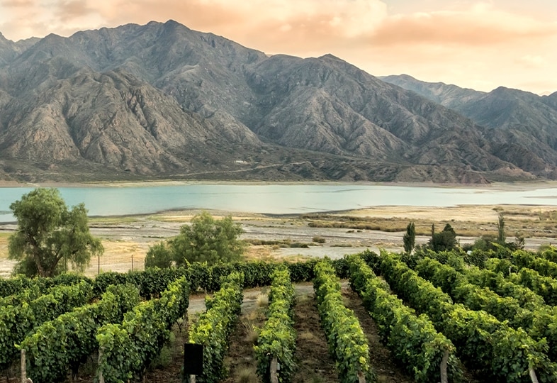 Mendoza, a popular wine region in Argentina