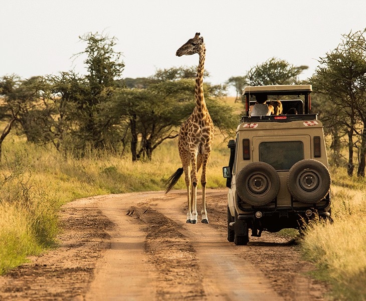 Pre- and Post-Cruise Land Programs