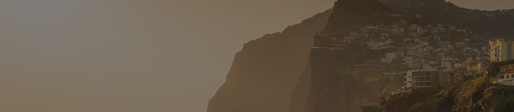 Alternative Text