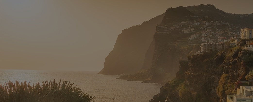 Alternative Text