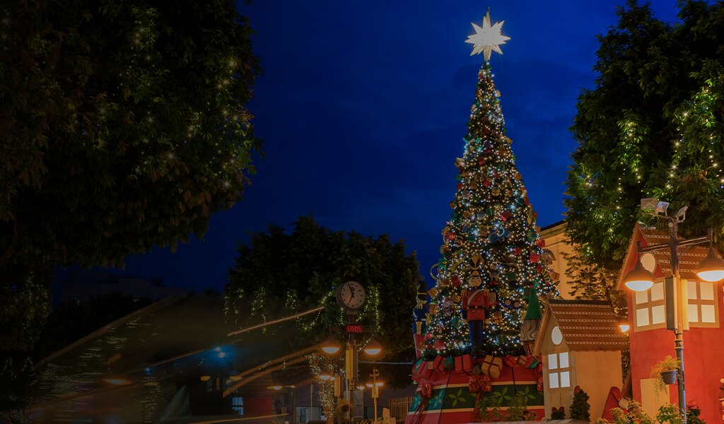 large outdoor christmas tree in europe