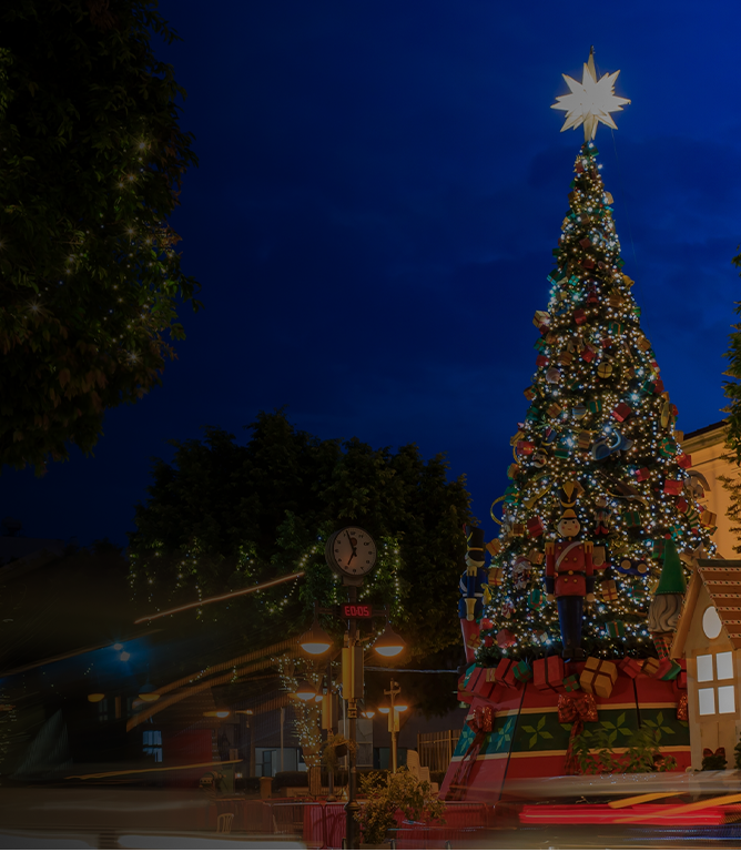 large outdoor christmas tree in europe