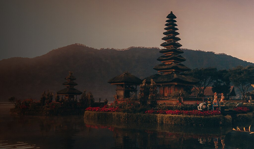 Asia and the Pacific