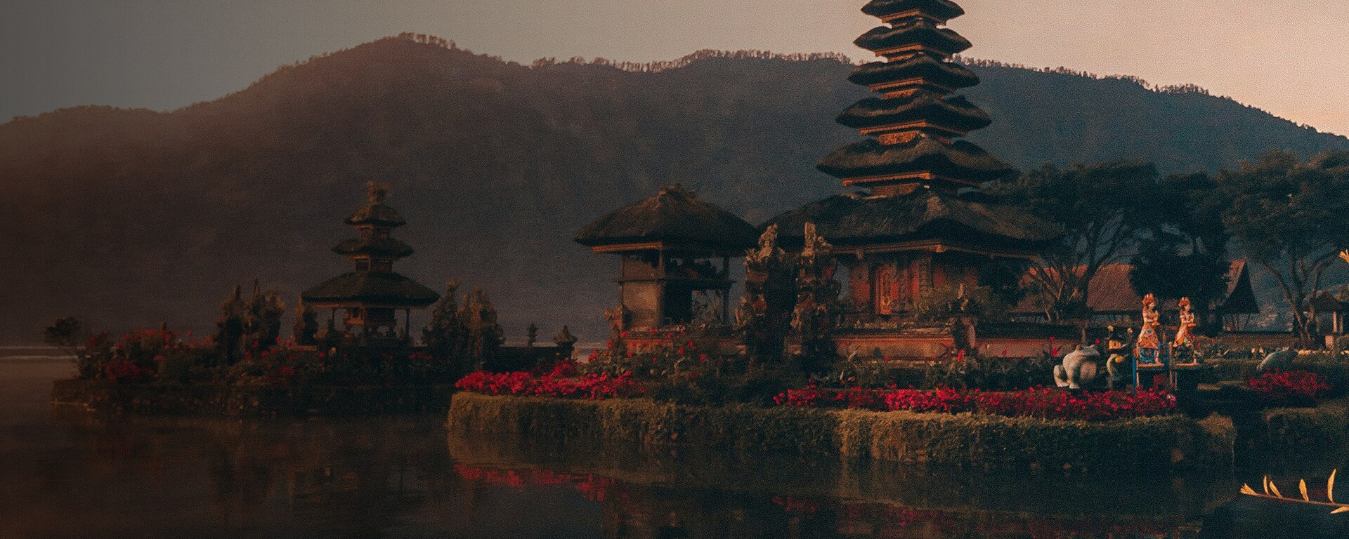 Asia and the Pacific