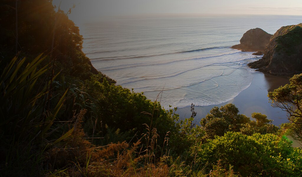 Australia and New Zealand