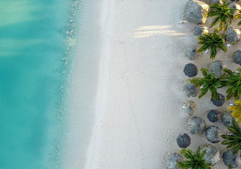 ariel view of the beach water reaching the shore and palm trees