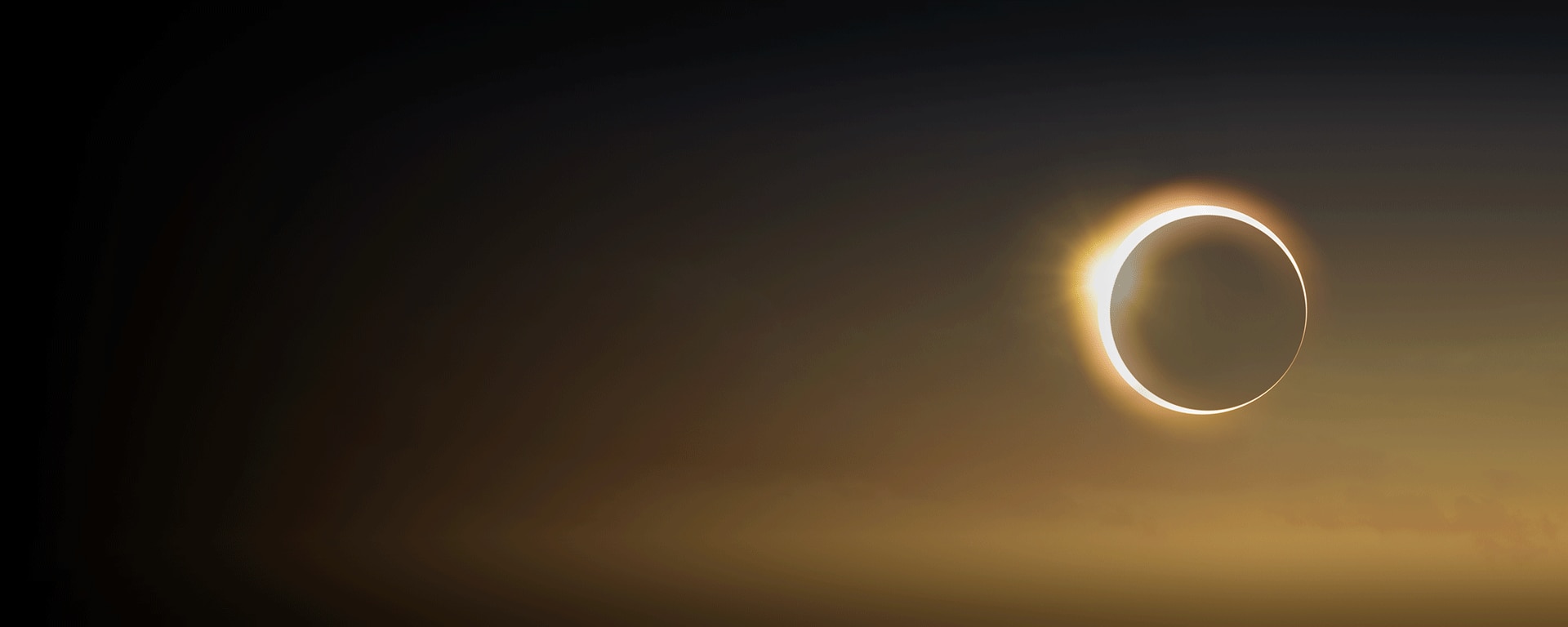 Solar Eclipse Voyages