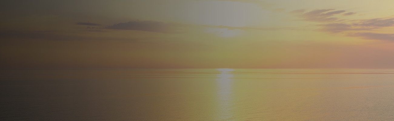 Get In Touch with Our Team