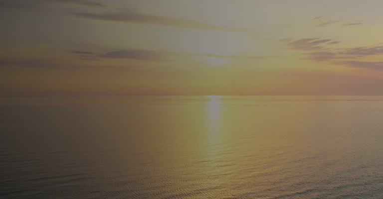 Get In Touch with Our Team