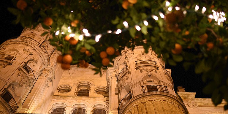 Malaga Joyful Christmas Celebration