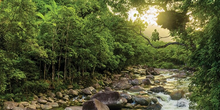 Tropical North Queensland