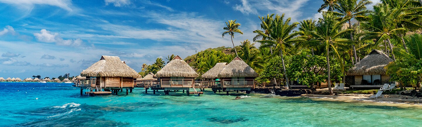 View South Pacific Cruises