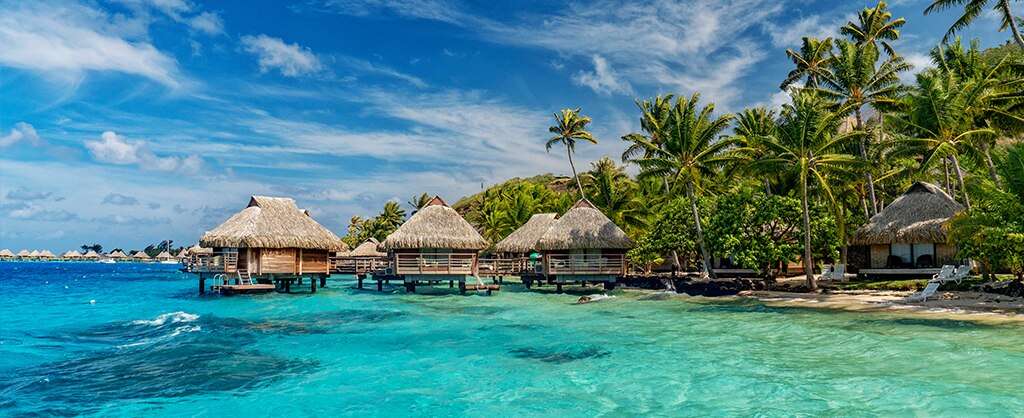 View South Pacific Cruises